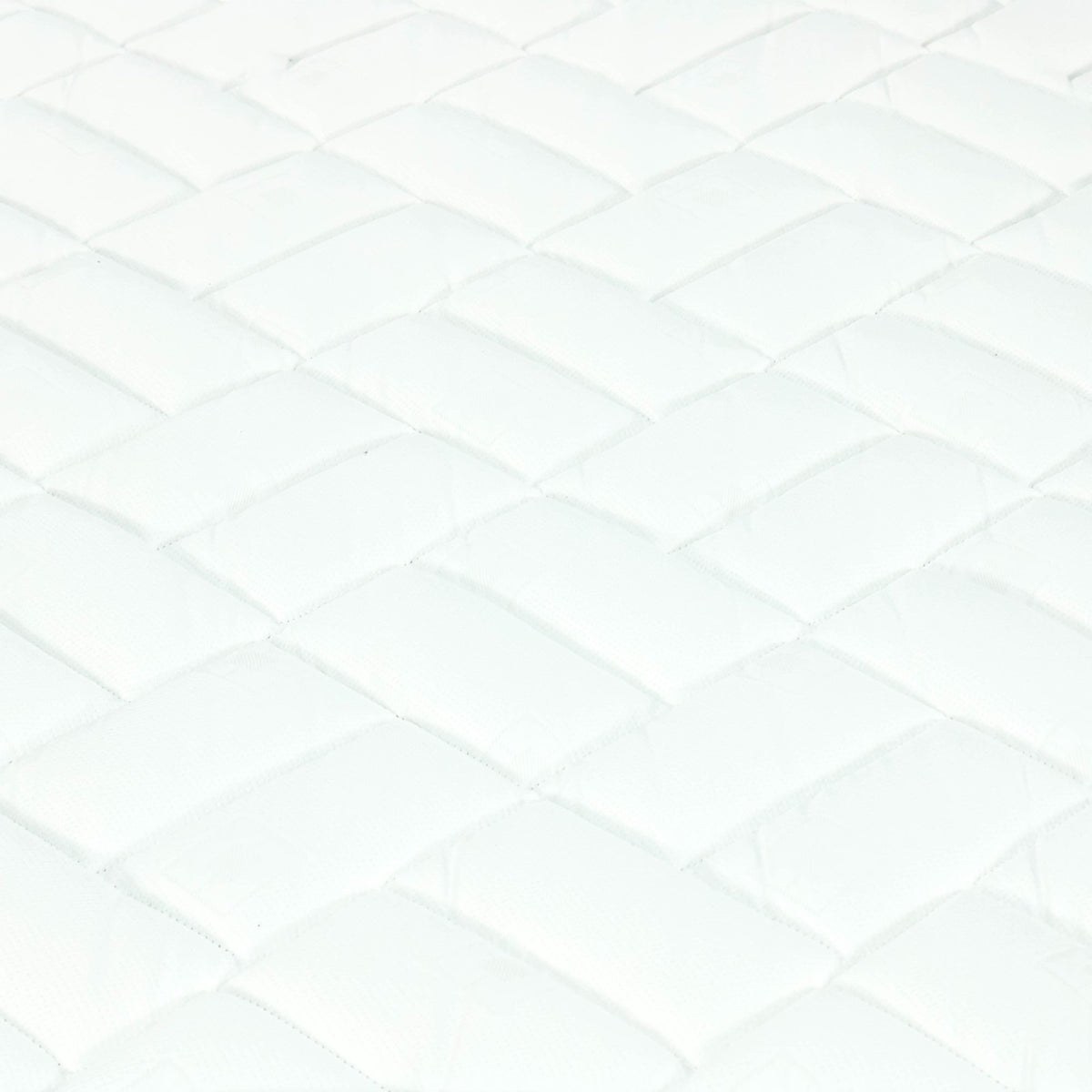 INTERNATIONAL - FOAM COMFORT