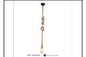 5009 1/1M PENDANT INCLUDED