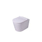 Vaal Entice Wall Hung Pan With Seat White