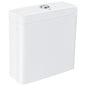 Grohe Essence Exposed flushing cistern for close coupled combination alpine white
