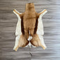 SPRINGBOK 29922