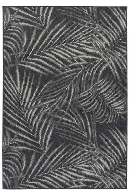 ARECA GREY