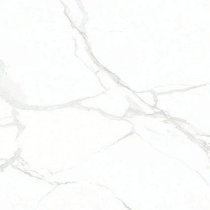 POLARIS WHITE