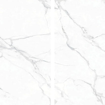 POLARIS WHITE